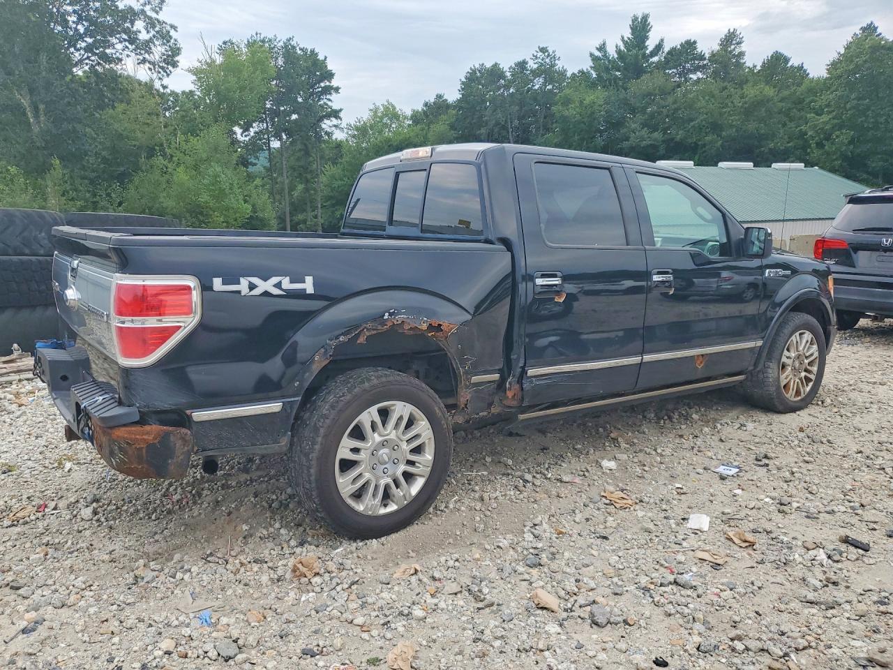 2009 Ford F150 Supercrew - Фото 3
