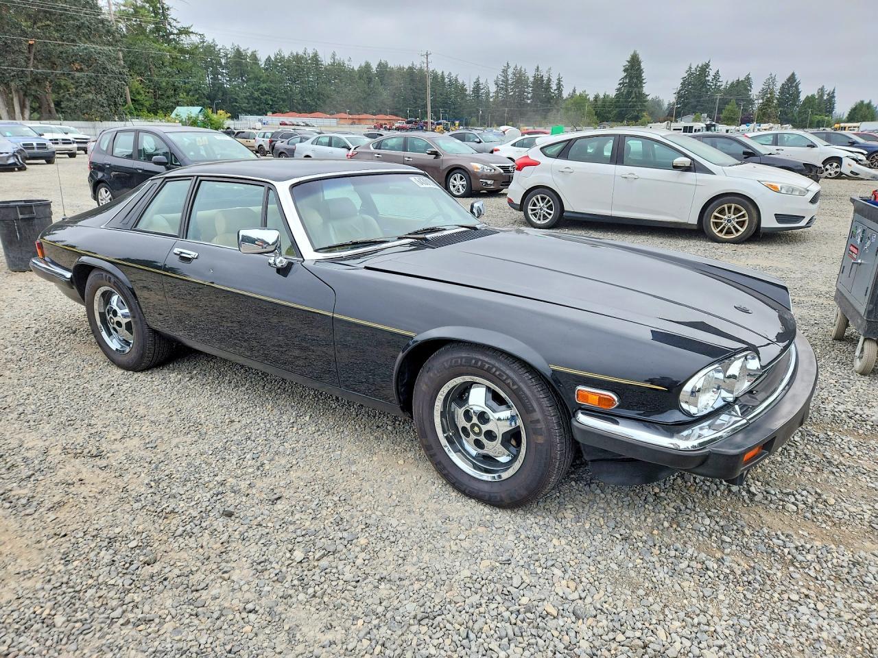 1983 Jaguar Xjs - Фото 4