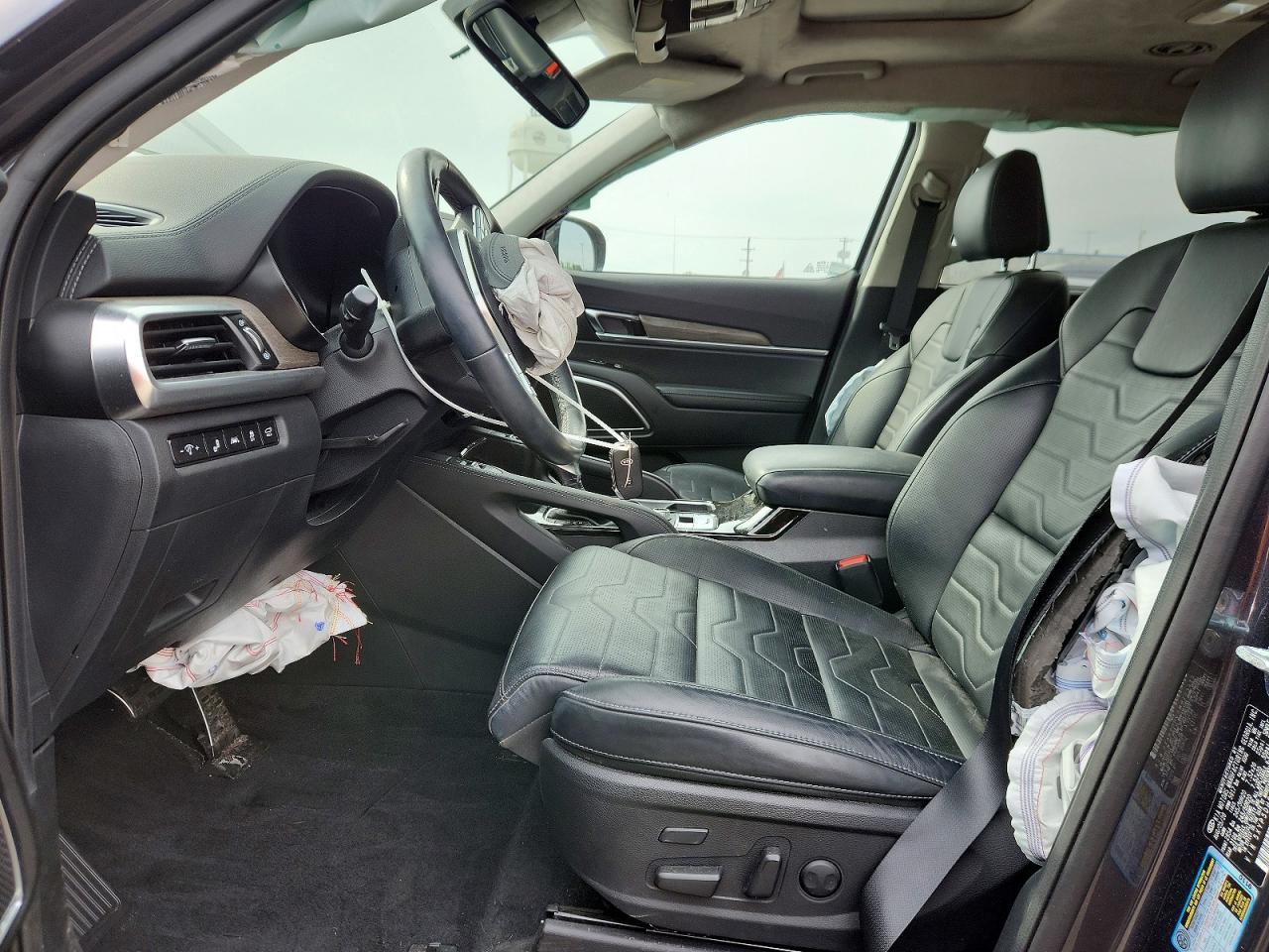 2021 Kia Telluride Sx - Фото 7