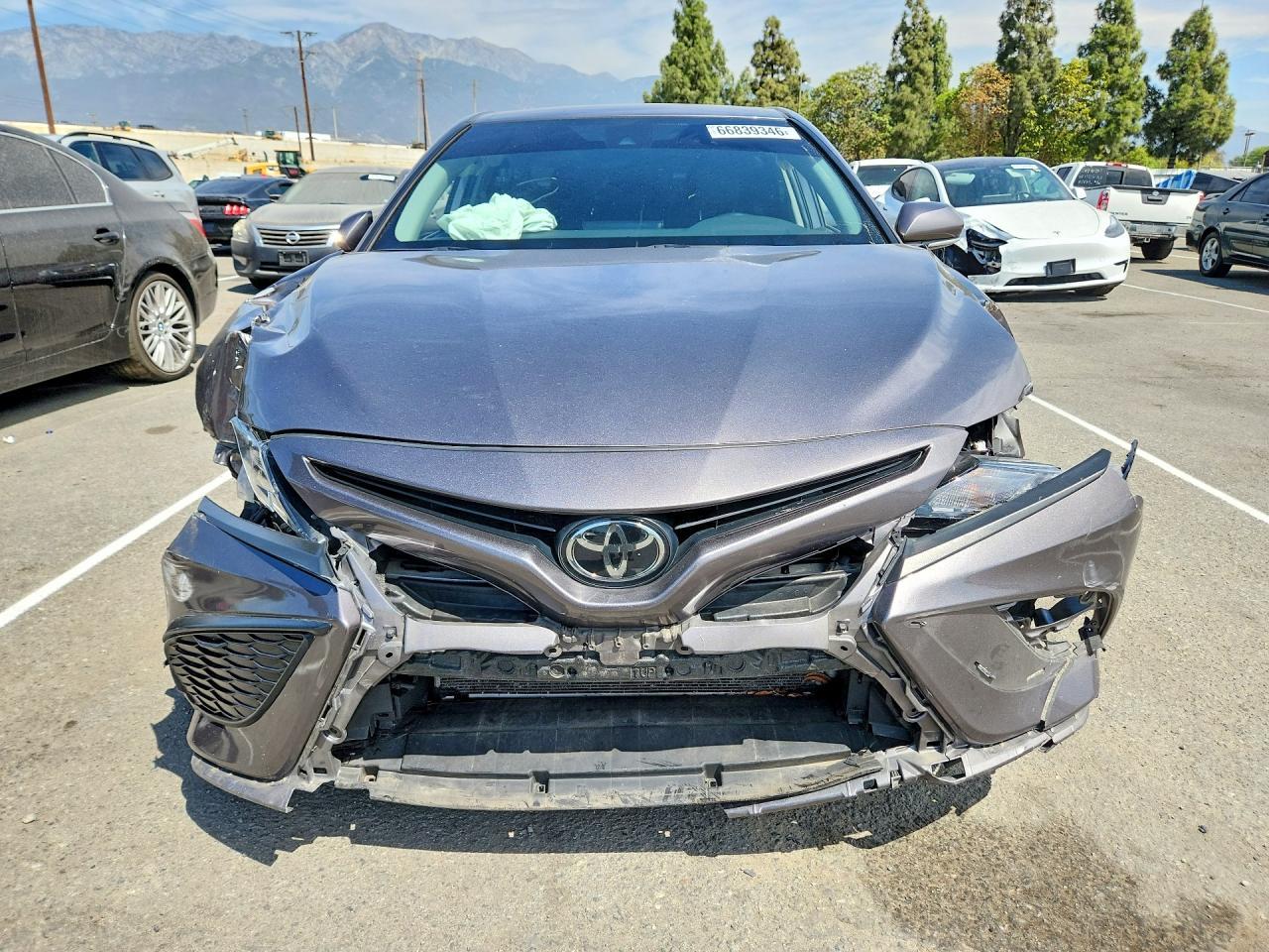 2024 Toyota Camry Se - Image 5