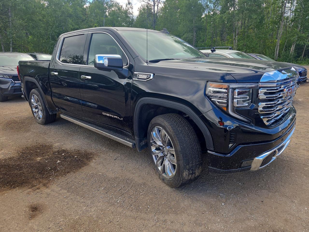 2025 GMC Sierra K1500 Denali - Фото 4