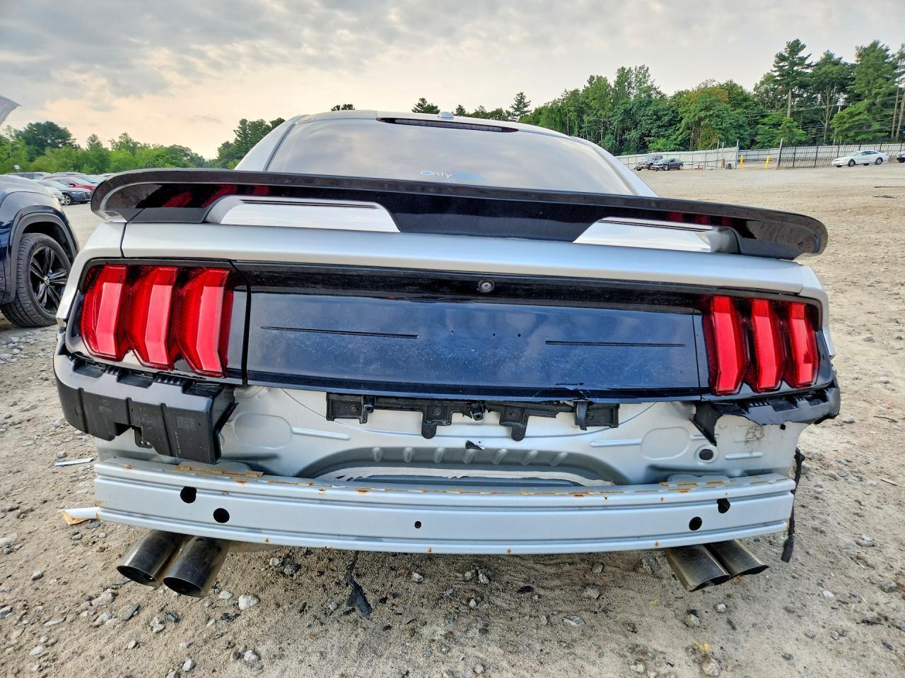 2019 Ford Mustang Gt - Фото 6