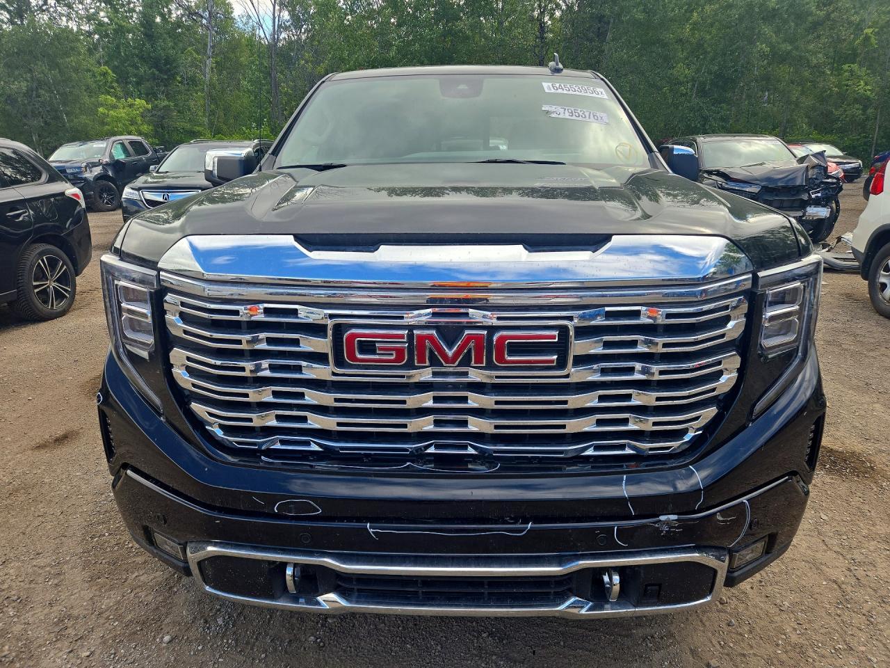 2025 GMC Sierra K1500 Denali - Фото 5