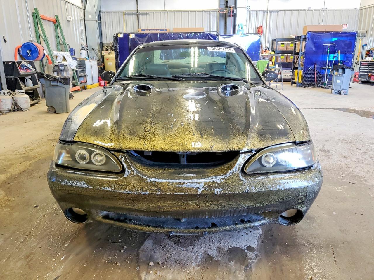 1997 Ford Mustang Cobra - Фото 5