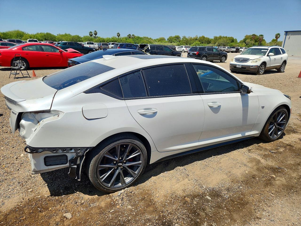 2024 Cadillac Ct5 Sport - Image 3