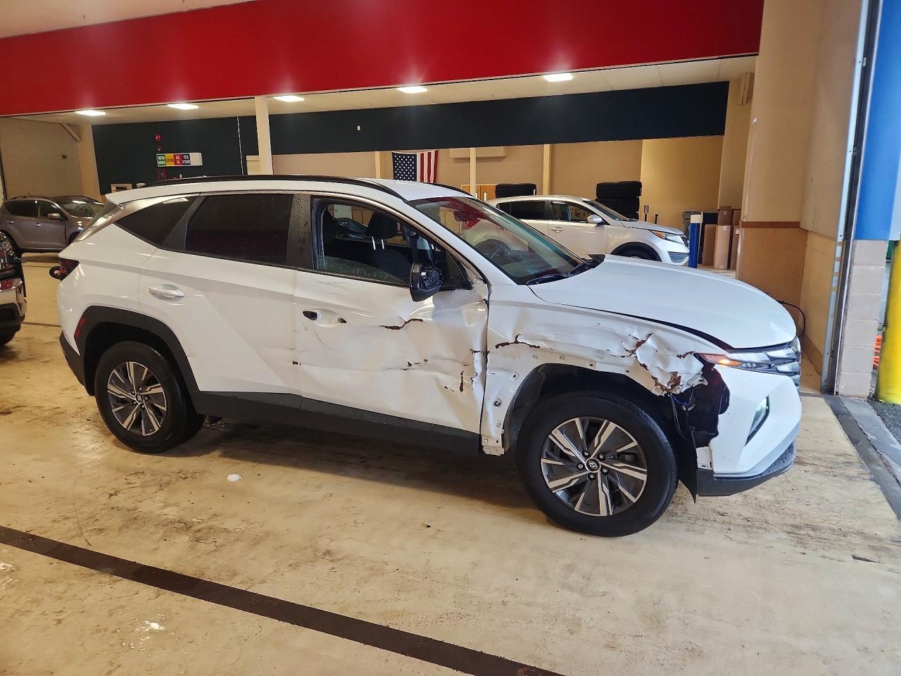 2024 Hyundai Tucson Blue - Фото 4