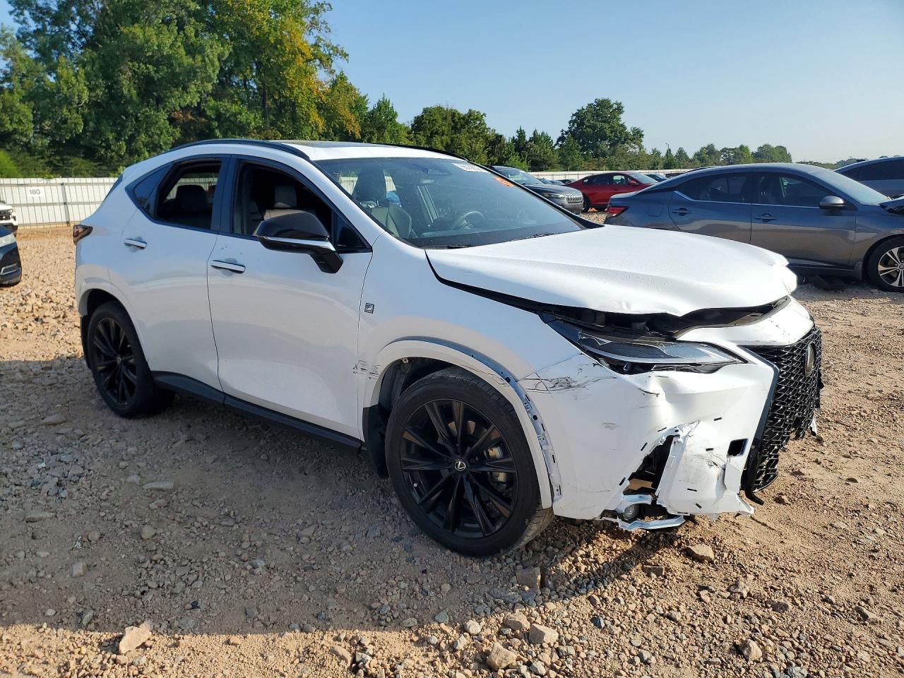 2024 Lexus Nx 350 F Sport Handling - Фото 4