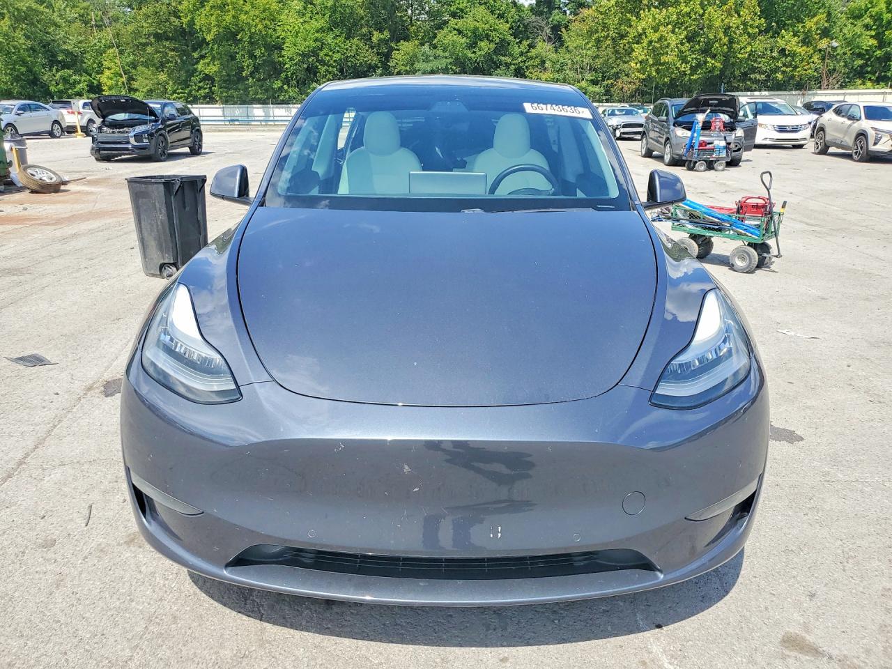 2021 Tesla Model Y - Фото 5