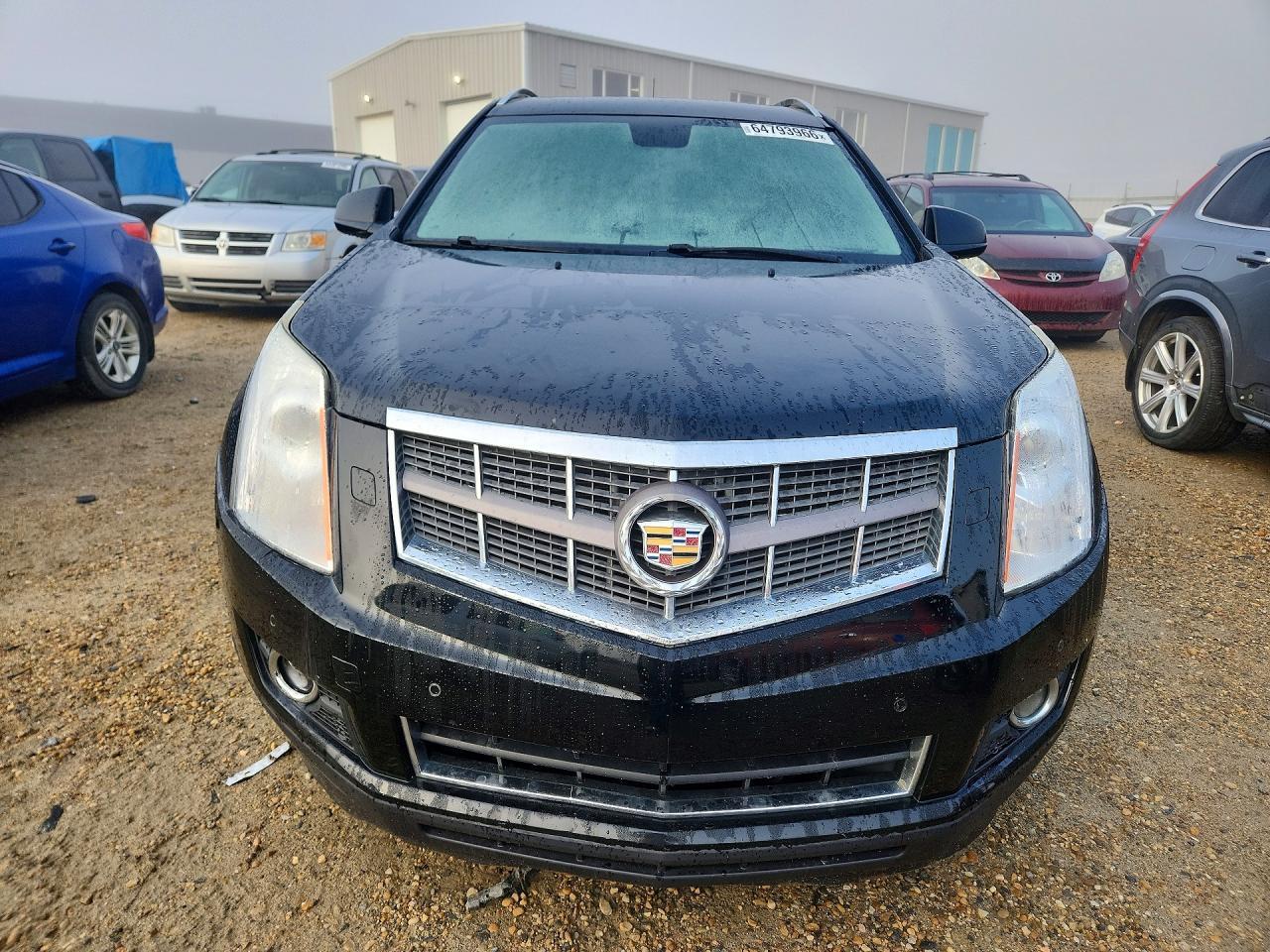 2010 Cadillac Srx Premium Collection - Фото 5