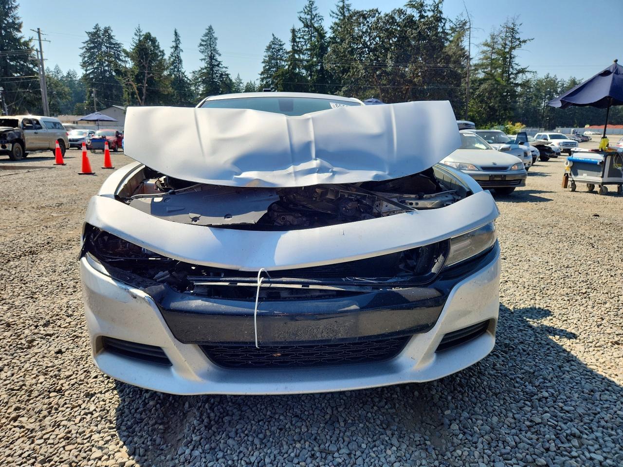 2020 Dodge Charger Police - Фото 5