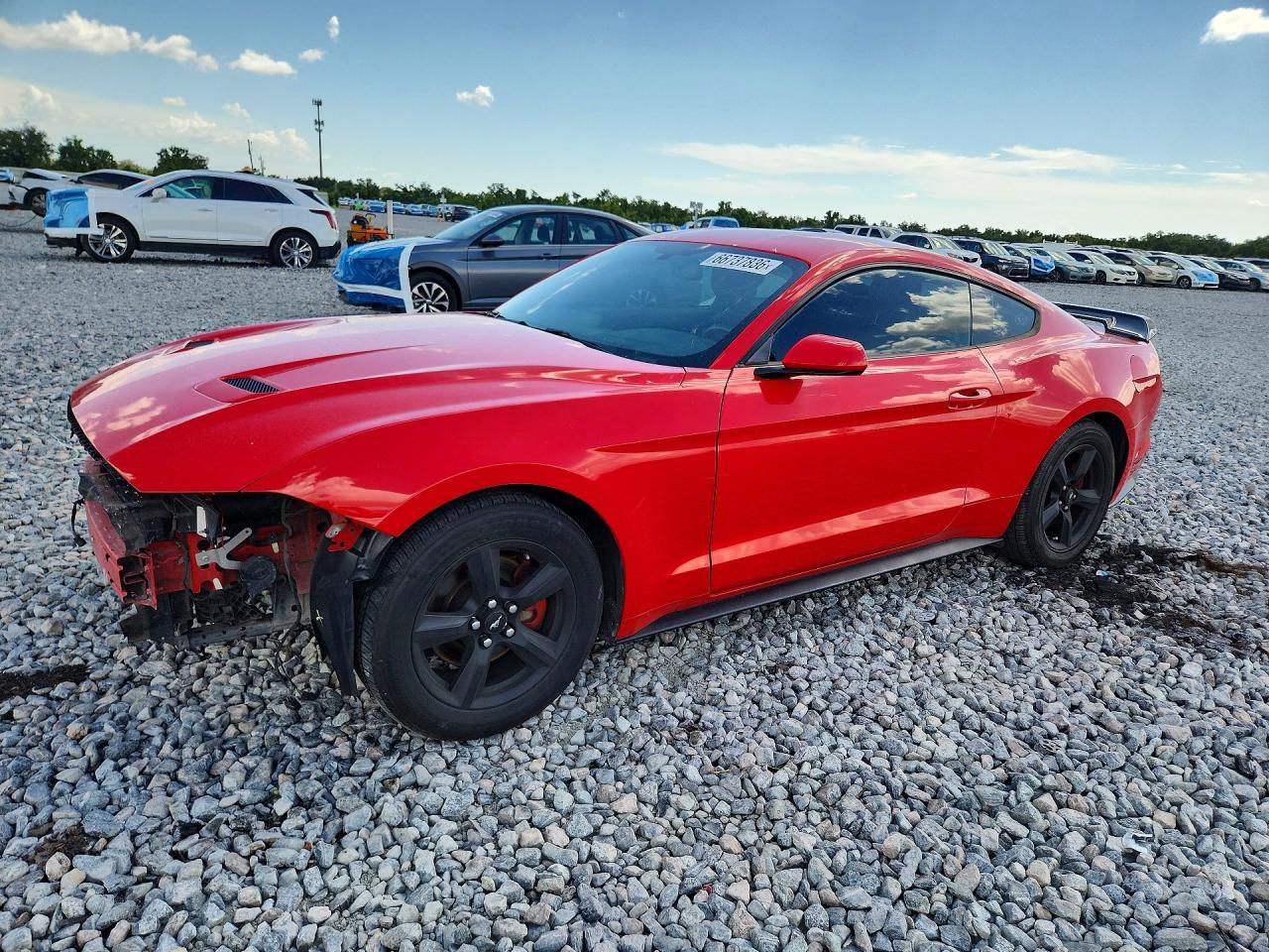 2019 Ford Mustang