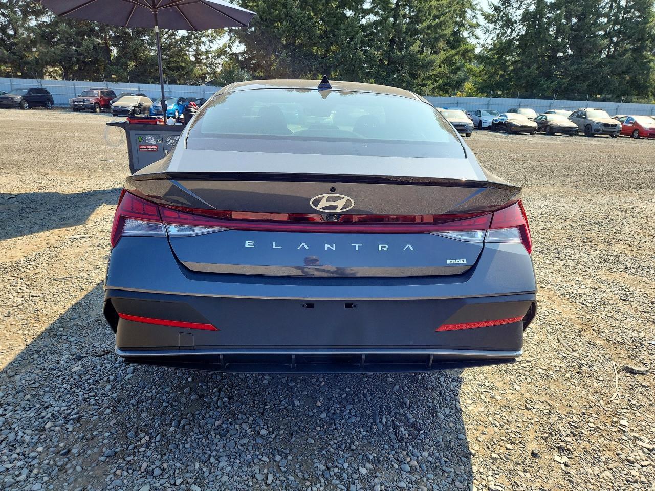 2025 Hyundai Elantra Hybrid Sel Sport - Фото 6