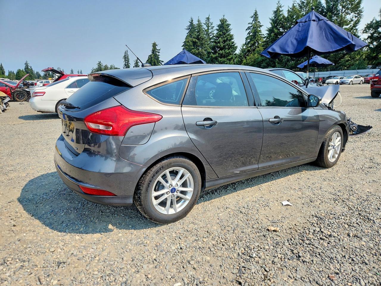 2015 Ford Focus Se - Фото 3