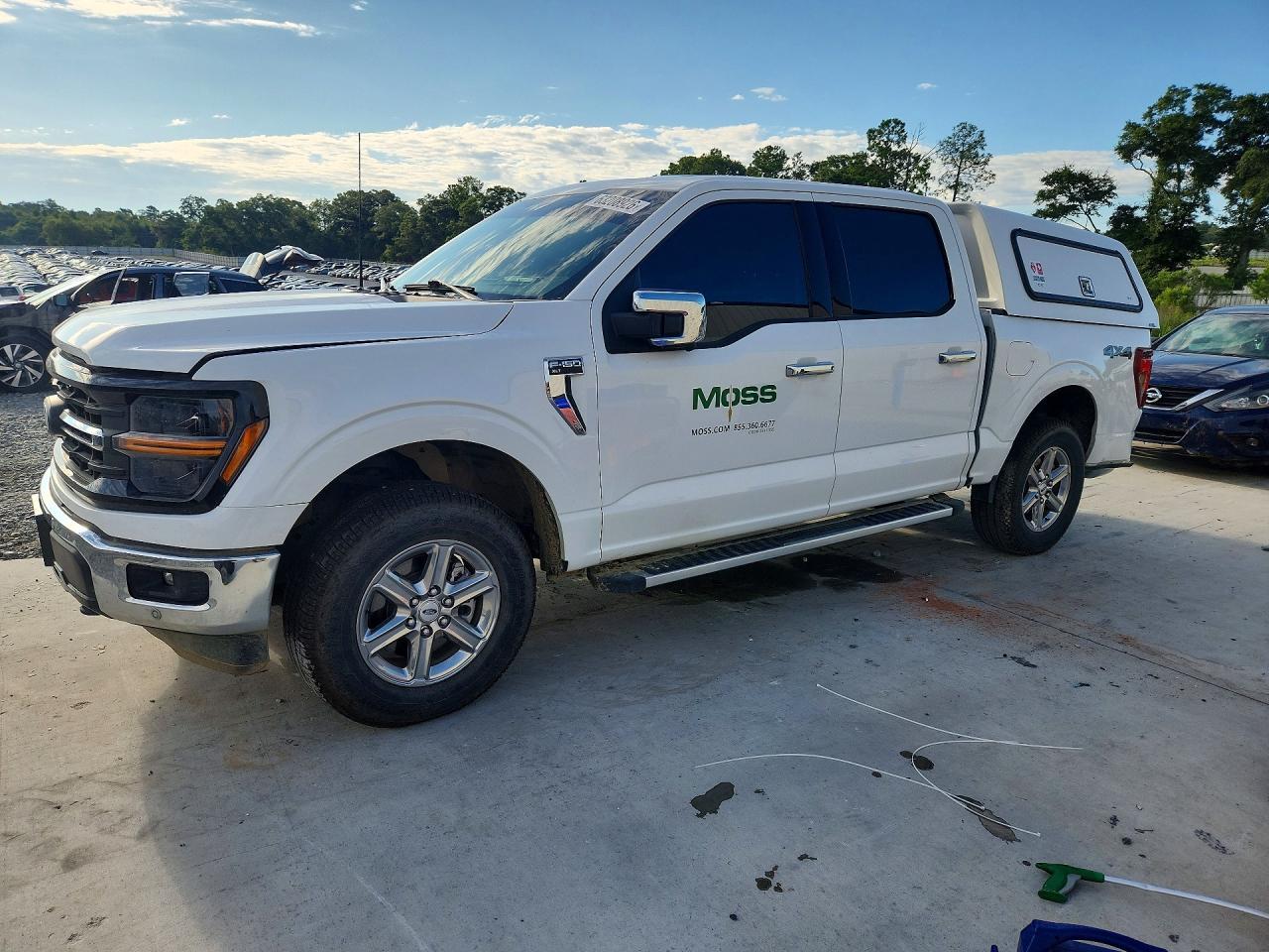 2025 Ford F150 Xlt