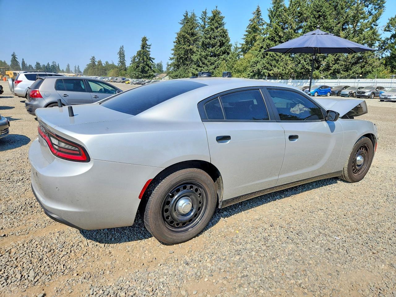 2020 Dodge Charger Police - Фото 3