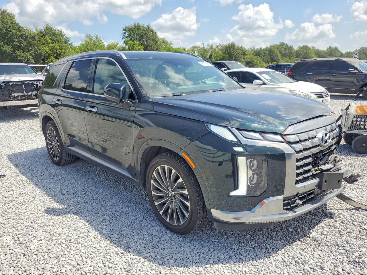 2024 Hyundai Palisade Calligraphy - Фото 4