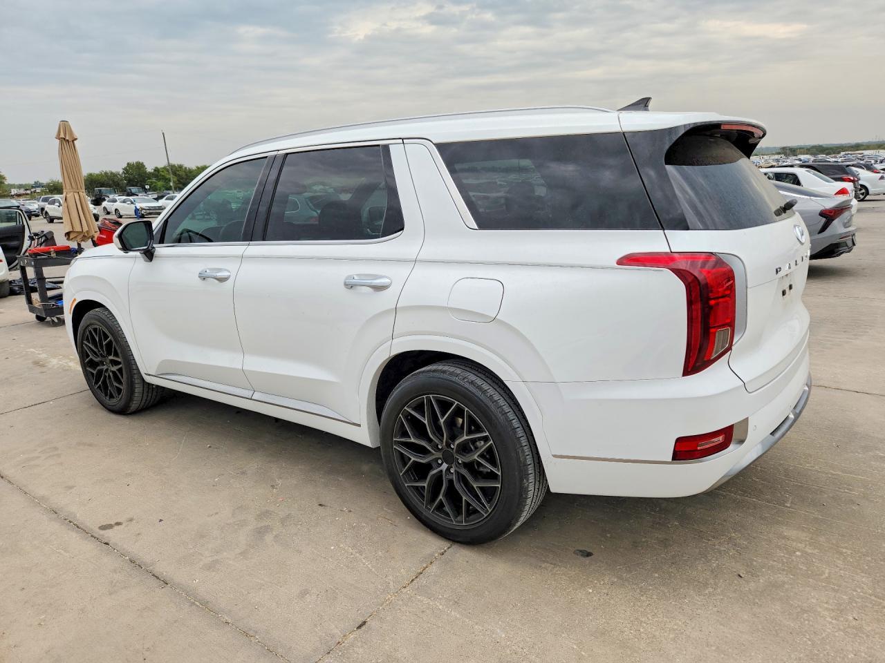 2022 Hyundai Palisade Calligraphy - Фото 2