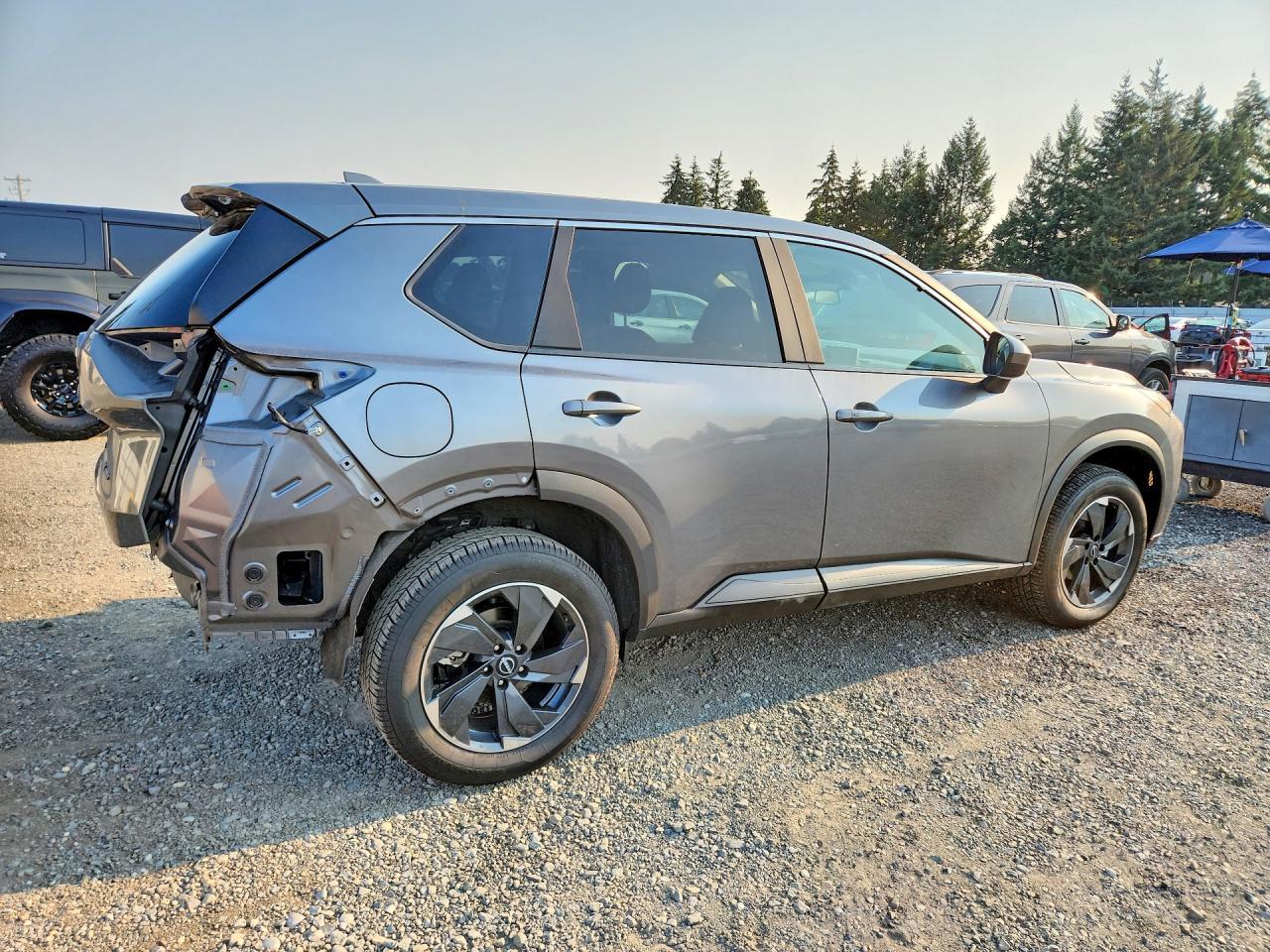 2024 Nissan Rogue Sv - Фото 3