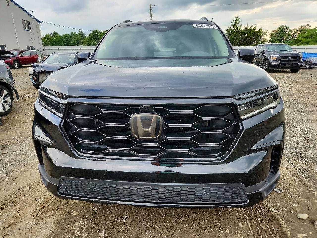 2024 Honda Pilot Elite - Image 5