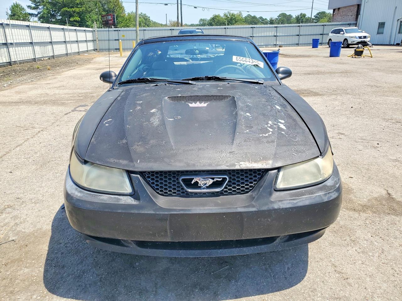 2001 Ford Mustang - Фото 5