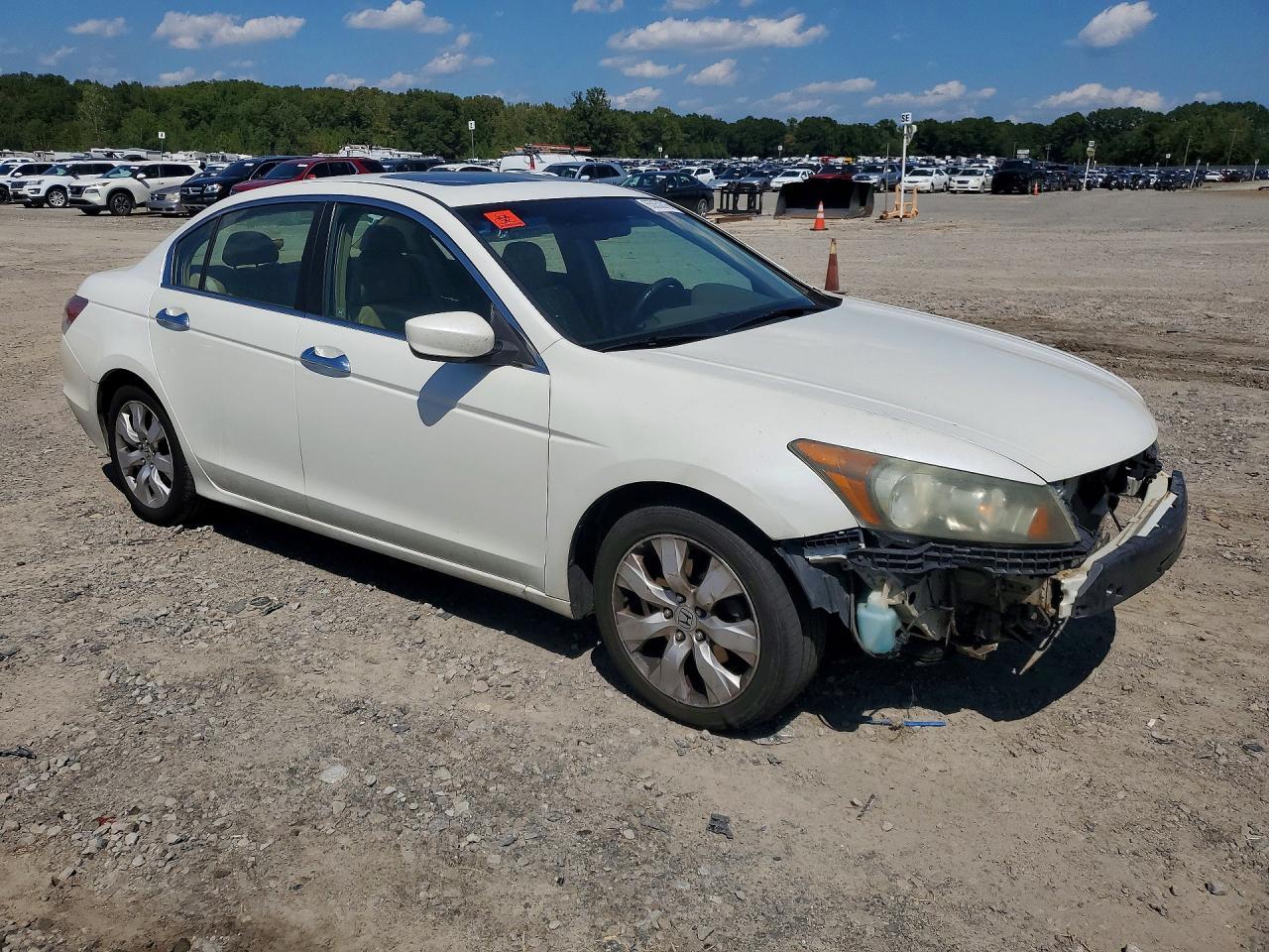 2009 Honda Accord Exl - Фото 4