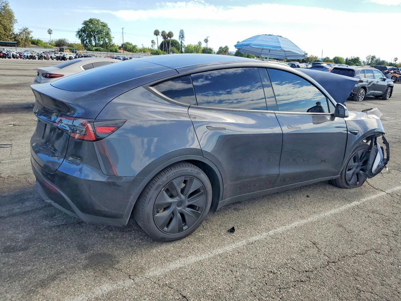 2025 Tesla Model Y - Фото 3