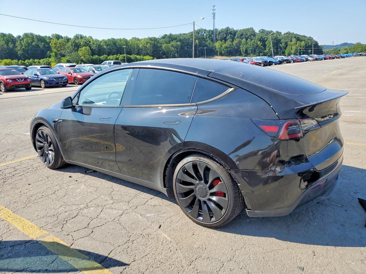 2023 Tesla Model Y - Image 2