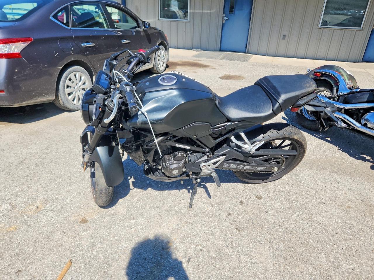 2023 Honda Cbf300 Na - Фото 3