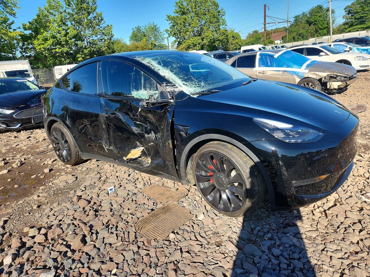 2022 Tesla Model Y - Фото 4