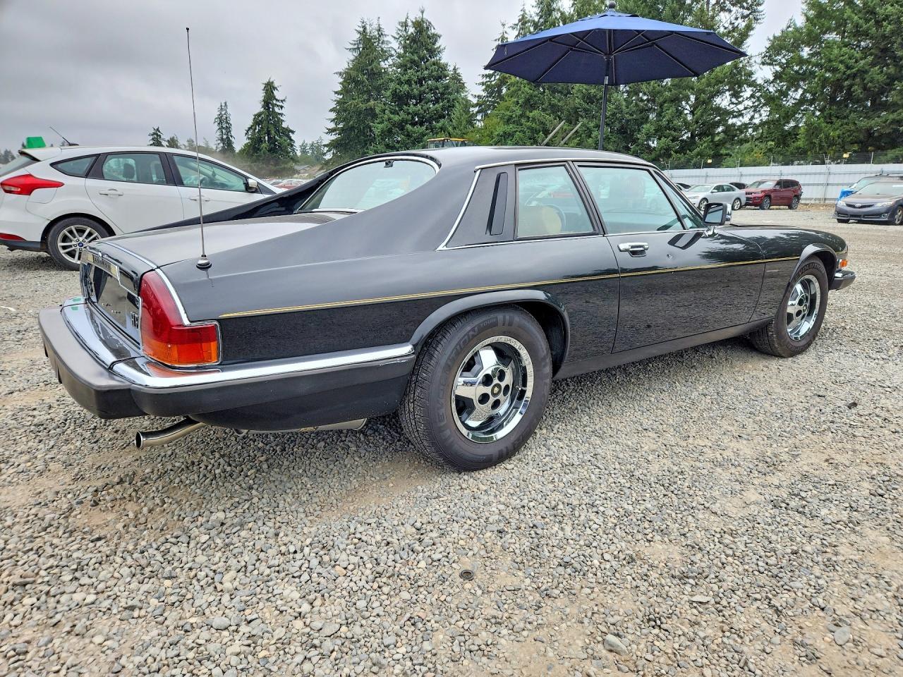 1983 Jaguar Xjs - Фото 3