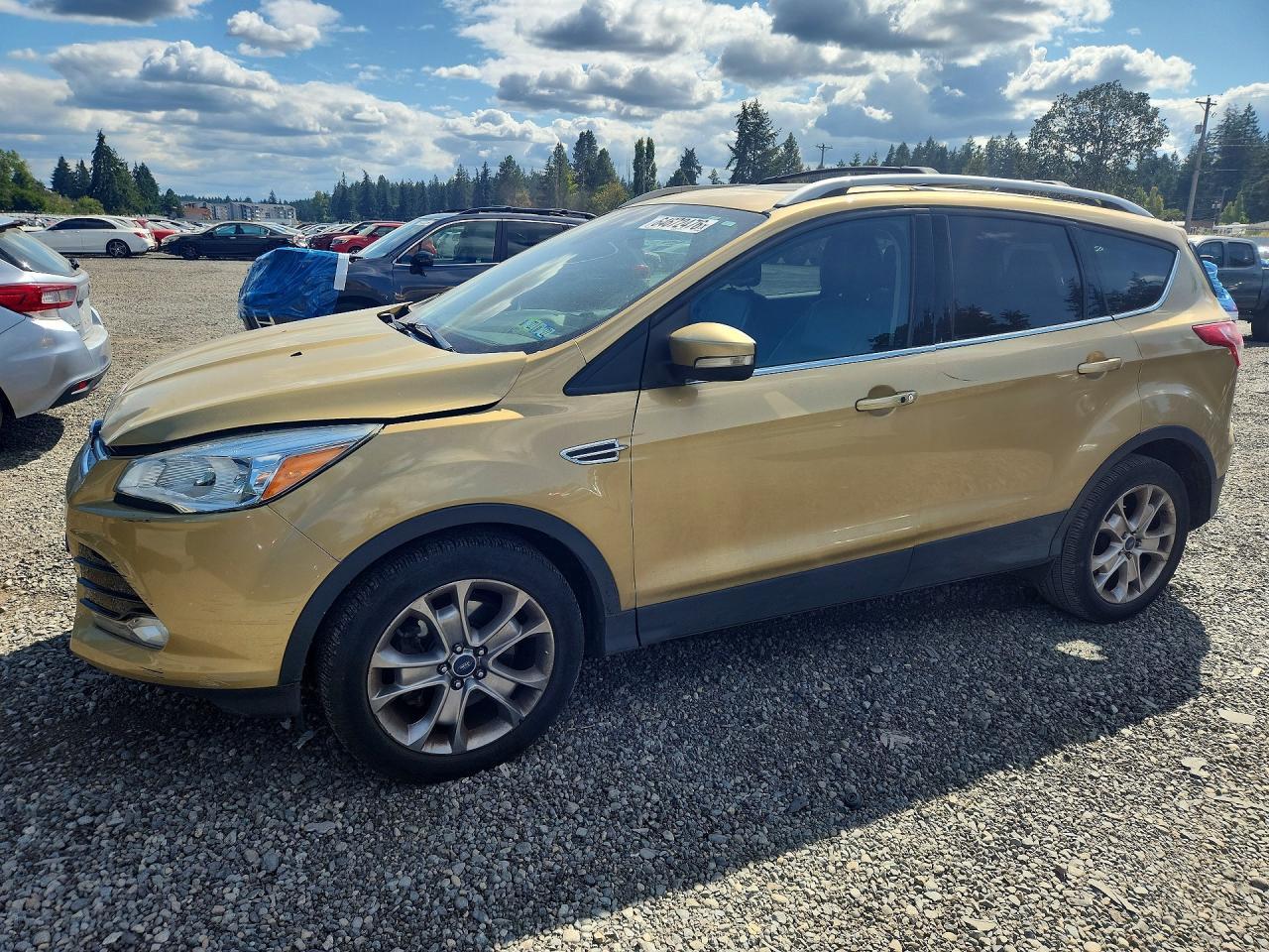 2014 Ford Escape Titanium