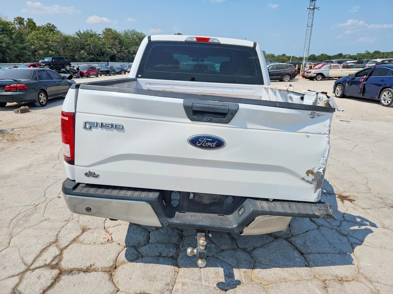 2017 Ford F150 Supercrew - Image 6