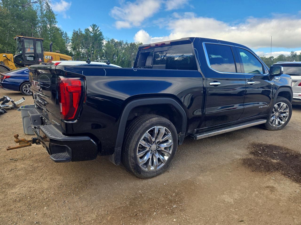 2025 GMC Sierra K1500 Denali - Фото 3
