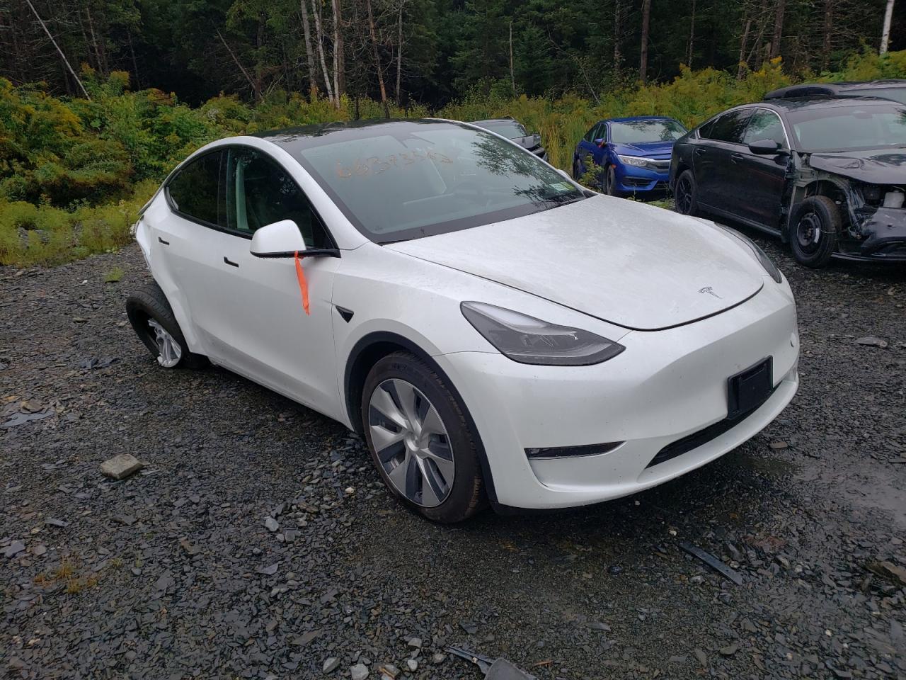 2023 Tesla Model Y - Image 4