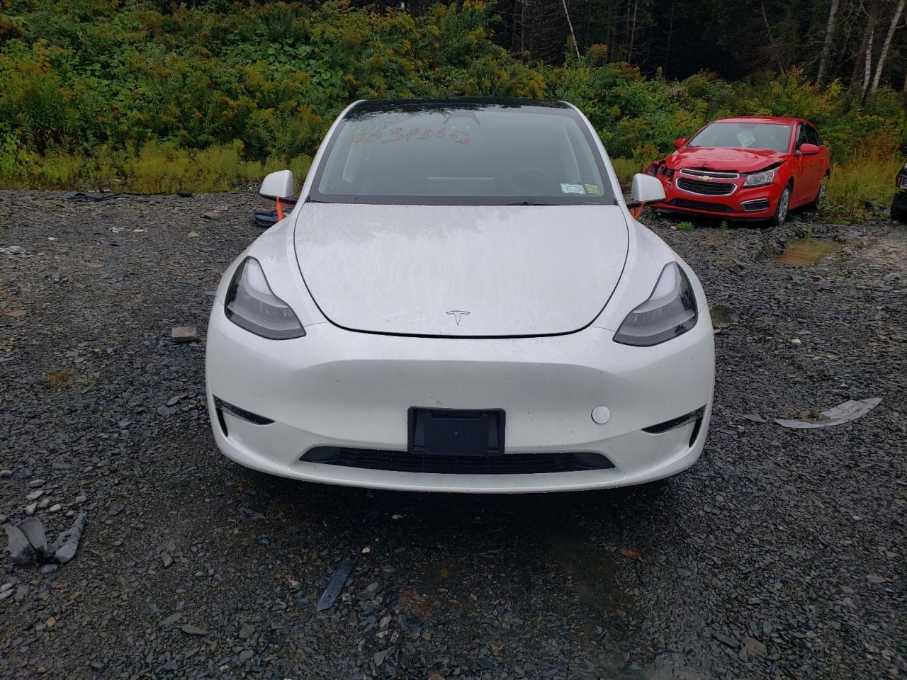 2023 Tesla Model Y - Image 5