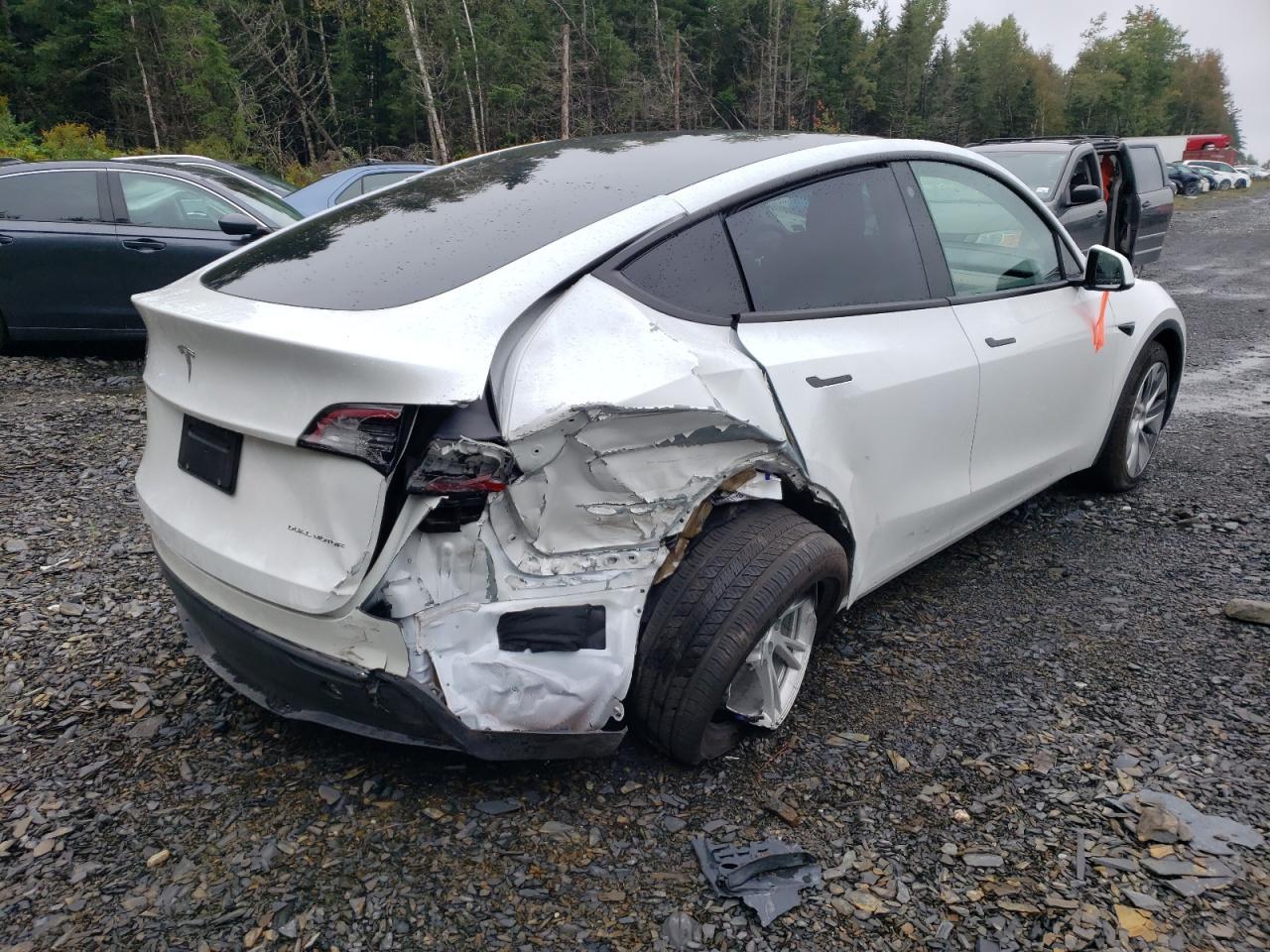 2023 Tesla Model Y - Image 3