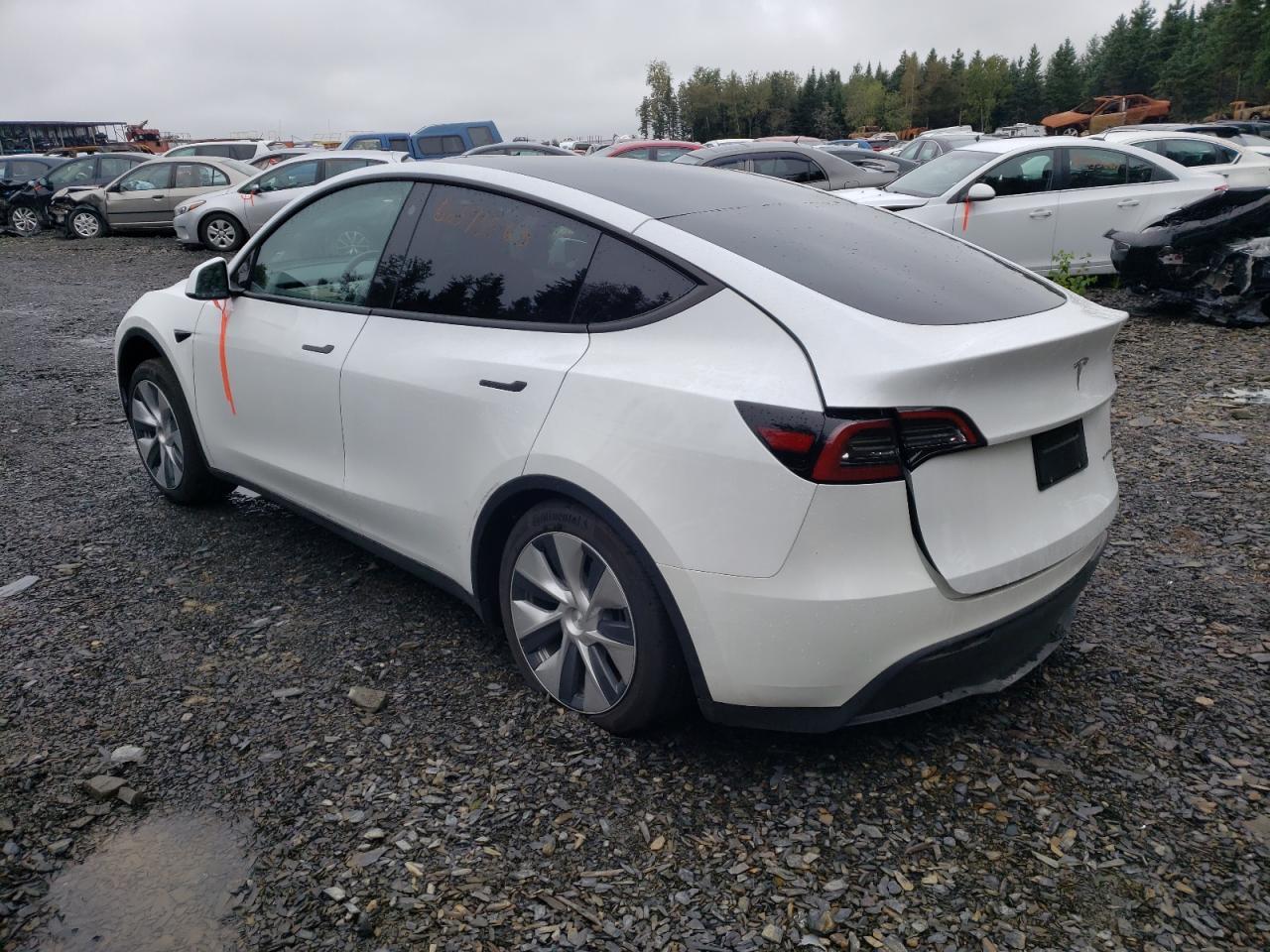 2023 Tesla Model Y - Image 2