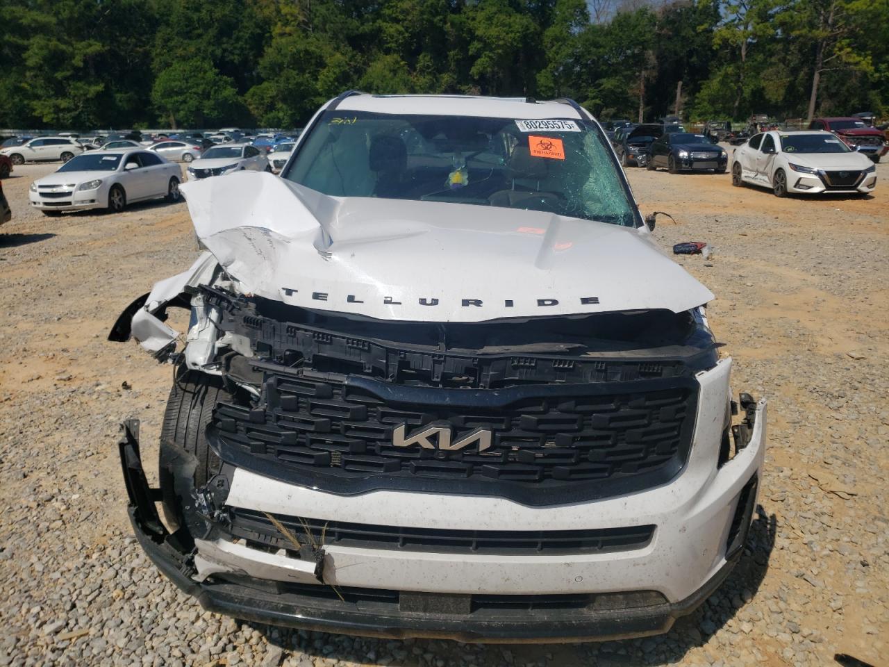 2022 Kia Telluride Sx - Image 5