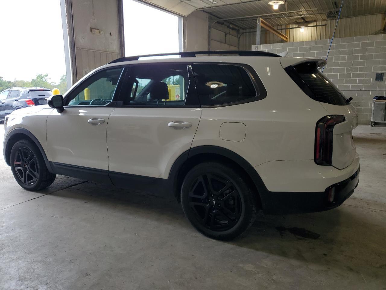 2024 Kia Telluride Sx - Фото 2