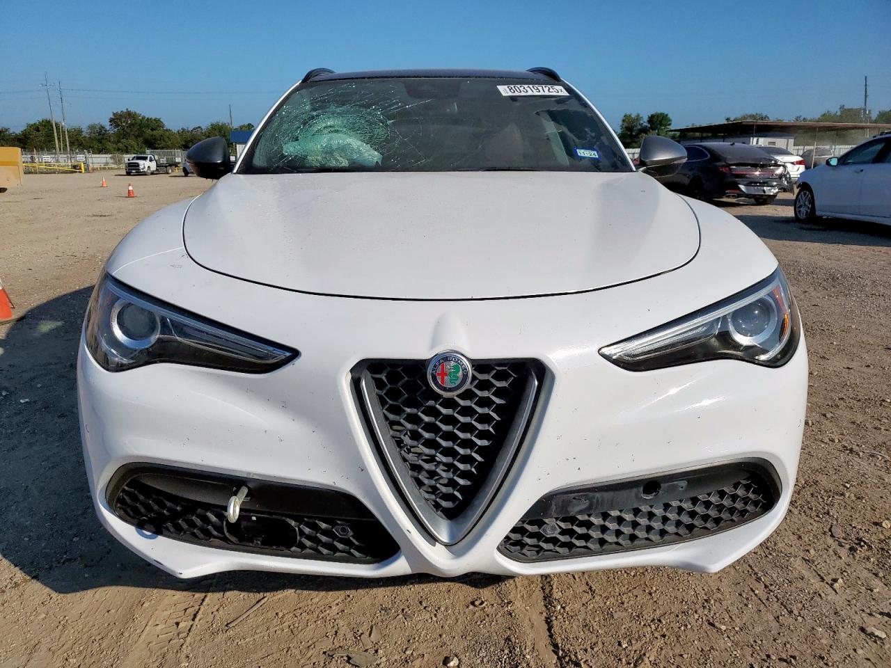 2019 Alfa Romeo Stelvio - Image 5
