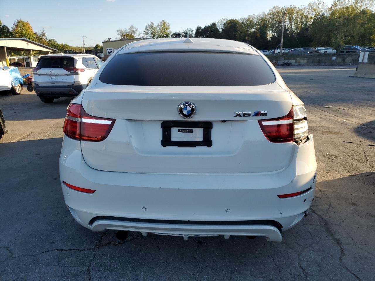 2014 BMW X6 M - Фото 6