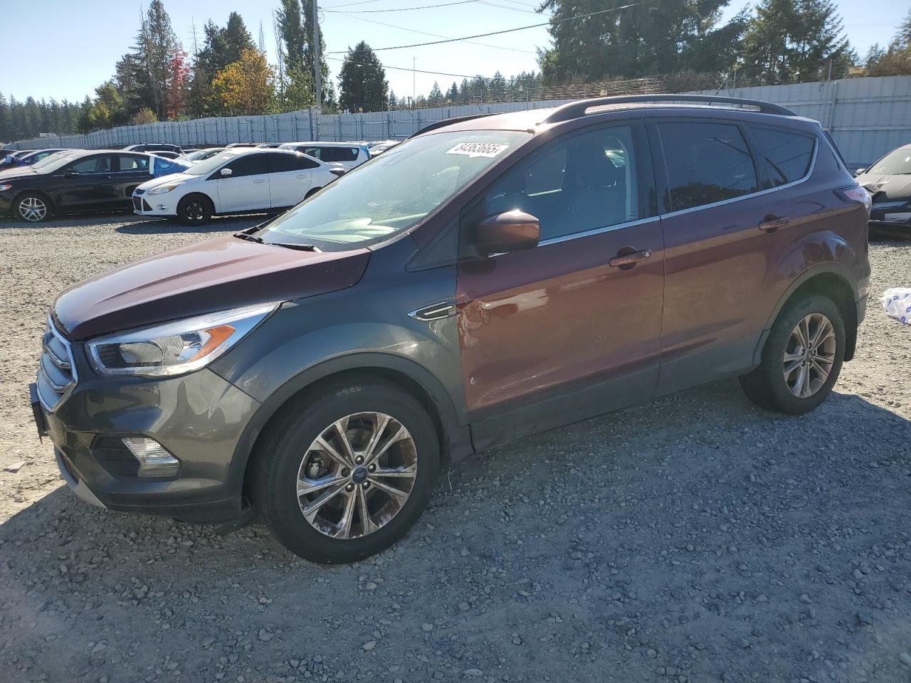 2018 Ford Escape Se