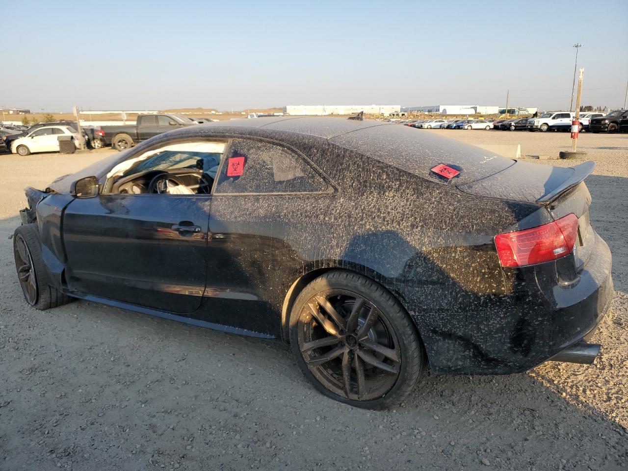 2017 Audi S5 Dynamic - Фото 2