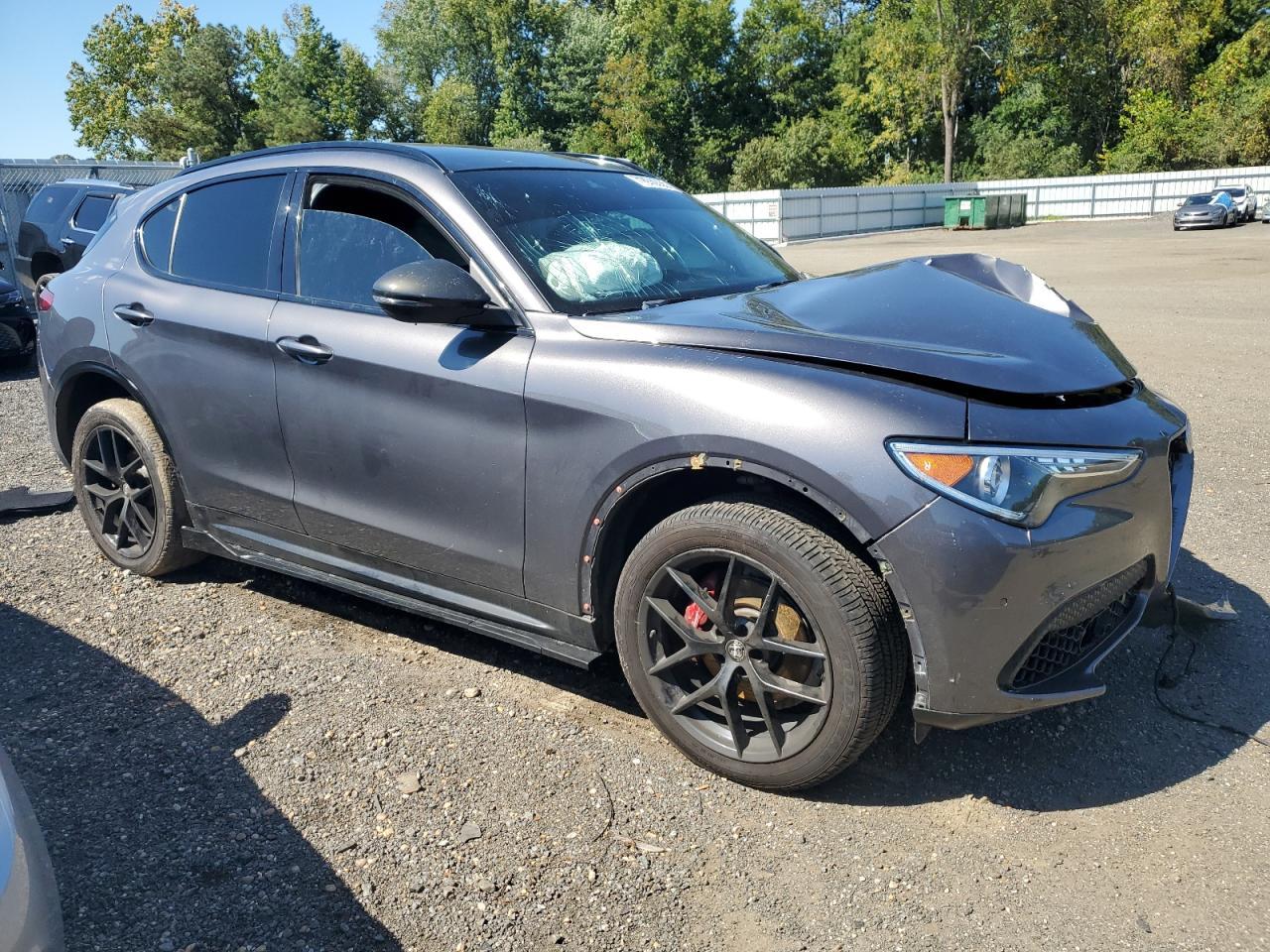2019 Alfa Romeo Stelvio Ti - Image 4