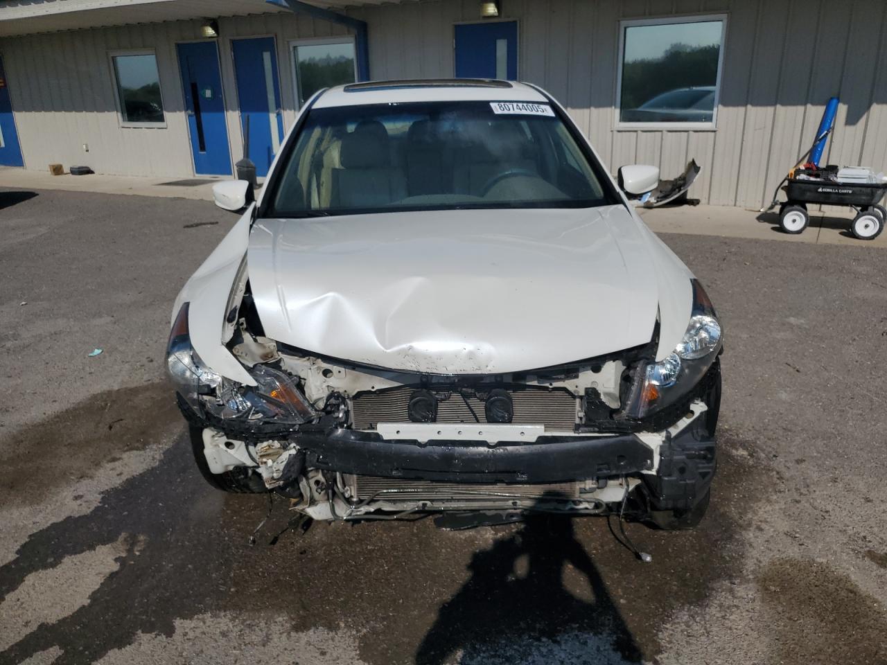 2008 Honda Accord Exl - Фото 5