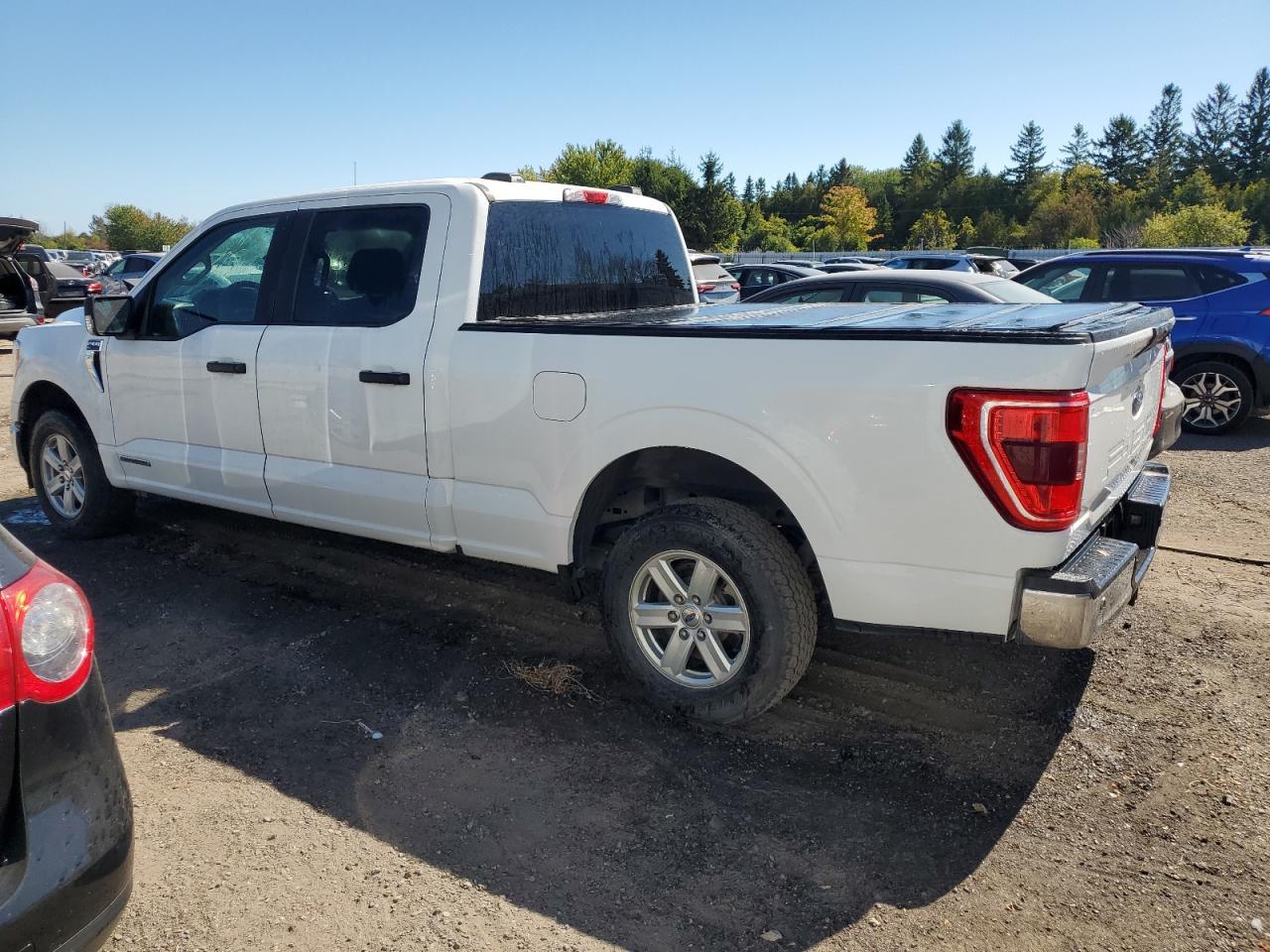 2021 Ford F150 Supercrew - Фото 2