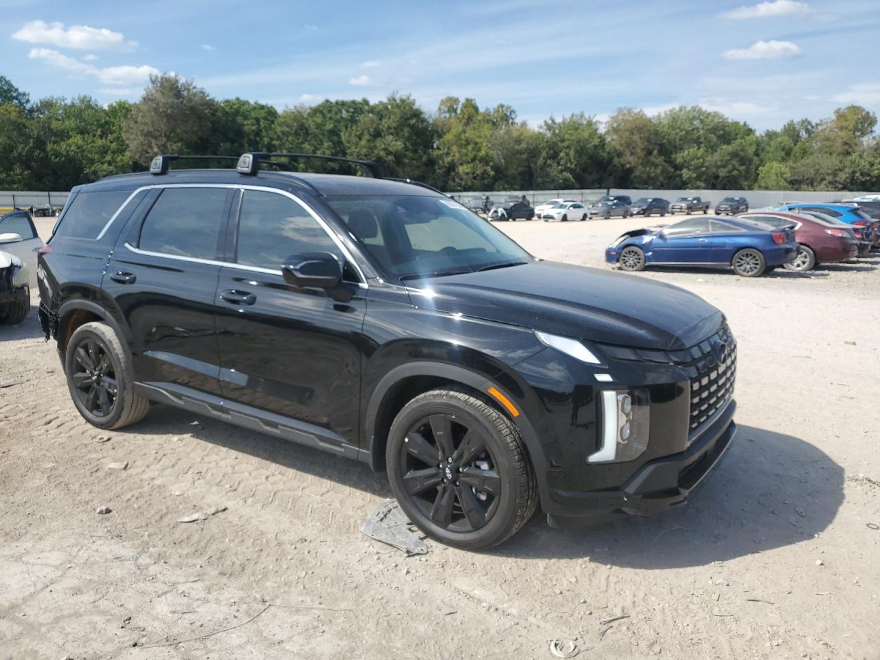 2025 Hyundai Palisade Xrt - Фото 4
