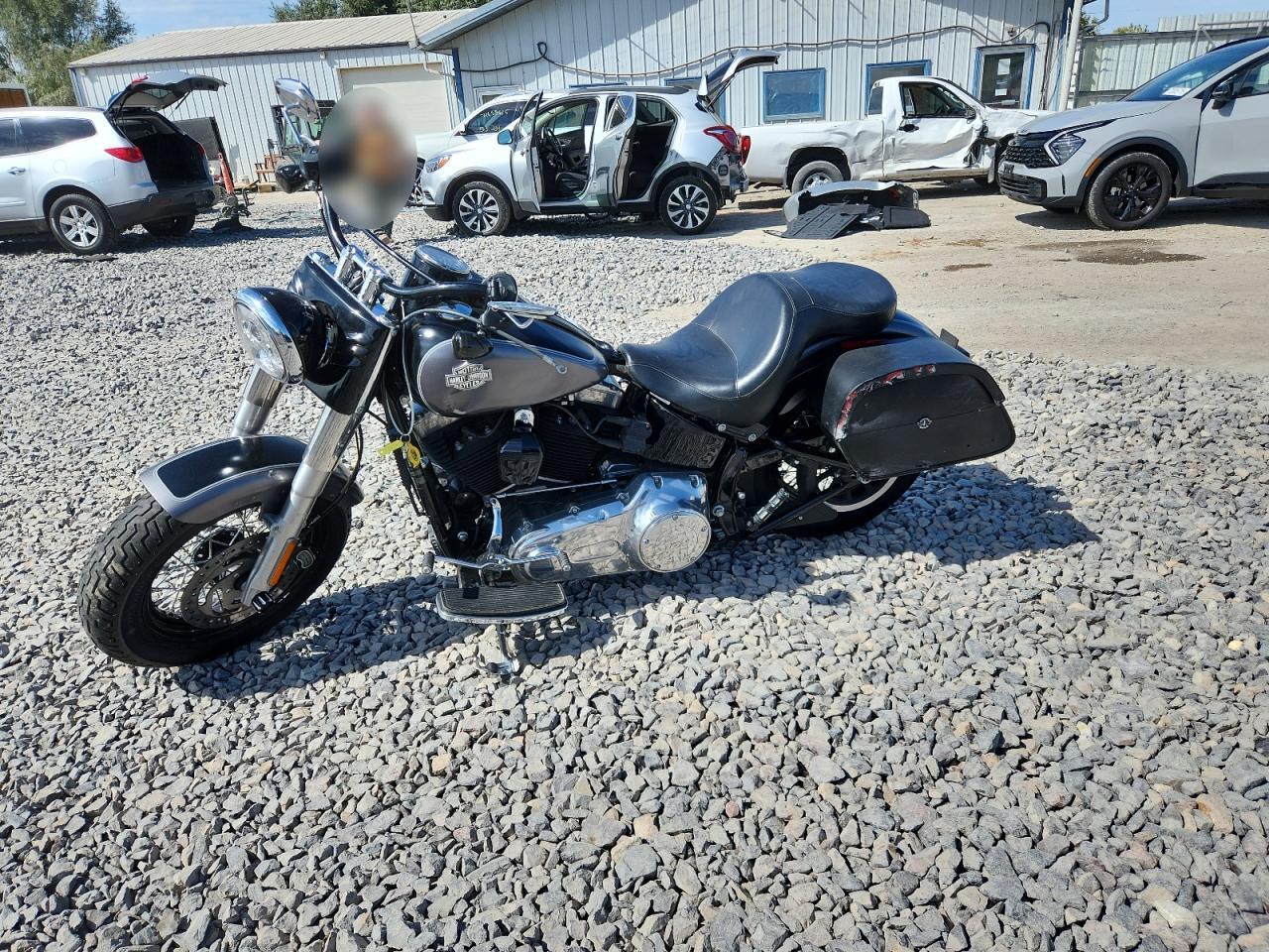 2016 Harley-Davidson Fls Softail Slim - Фото 3