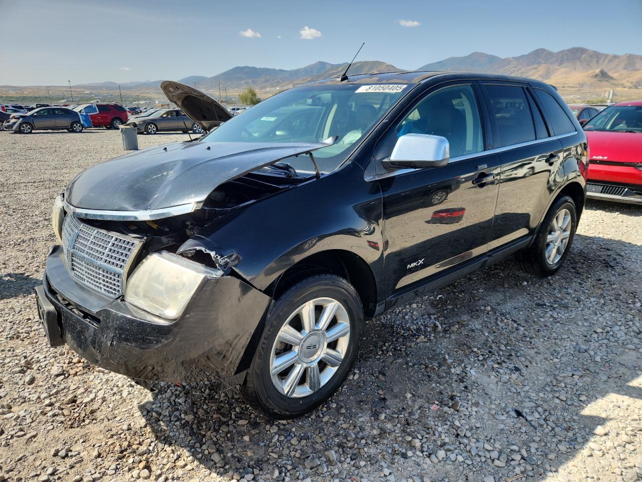 2007 Lincoln Mkx