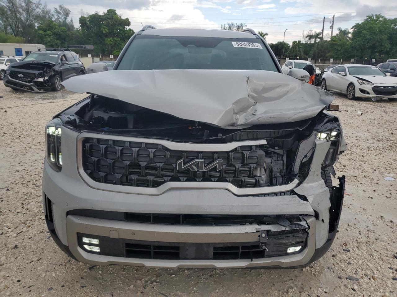 2023 Kia Telluride Sx - Фото 5